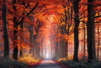 Fototapeta premium FALL SEASON