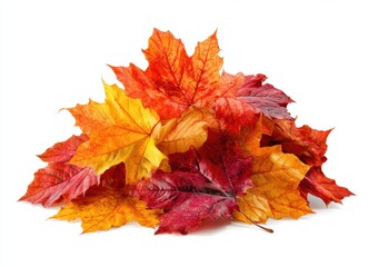 Fototapeta premium FALL SEASON