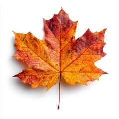 Fototapeta premium AI TECNOLOGY