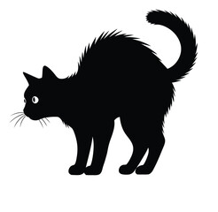 Obraz premium Arched Back Black Cat Silhouette with Wide Eyes on White Background