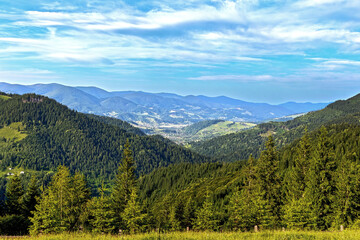 Wide View of Forested Mountain Valley Under Blue Sky. Expansive panorama of green pine-covered...