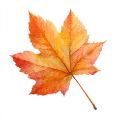 Fototapeta premium FALL SEASON