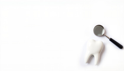 Tooth model and dental mirror on white background  