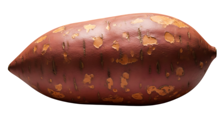 One whole raw sweet potato with reddish brown skin and lighter patches isolated on transparent background