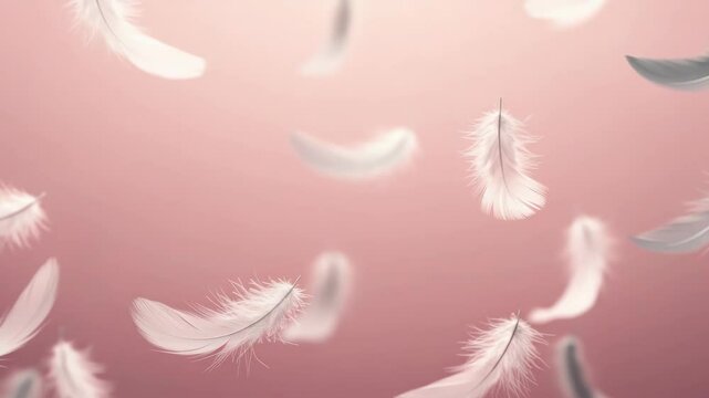Delicate feathers falling against soft pink background