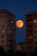 Full moon among old blocks of flats in an Eastern European neighborhood, generated AI