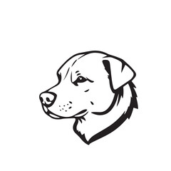 Dog silhouette on white background. Dog head icon. Dog logo. Dog Vector Design. 