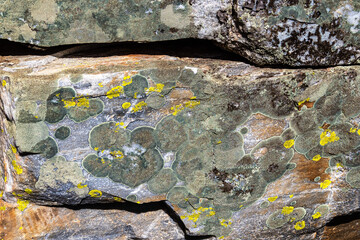Rock paintings in Junco Valley, Arronches, Alentejo, Portugal