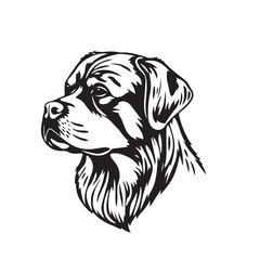 Rottweiler Dog silhouette on white background. Dog head icon. Dog logo design. Dog vector design.