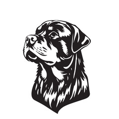 Rottweiler Dog silhouette on white background. Dog head icon. Dog logo design. Dog vector design.