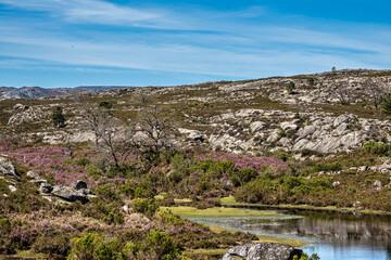 Beautiful lake at top of Penameda hill in national park Peneda Geres in Portugal.