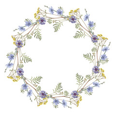 Watercolor frame of cornflower, tansy,chicory . Hand-drawn clip-art on white background. Delicate realistic images of Medicinal herbs for packaging, textiles, printing, holiday cards, wedding, menu