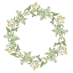 Watercolor frame of mint,tansy,thyme. Hand-drawn clip-art on white background. Delicate realistic images of medicinal herbs for packaging, textiles, printing, holiday cards,wedding,menu