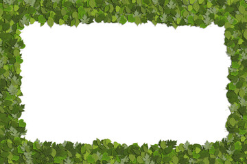 Green Leafy Border With White Center for Text or Messages