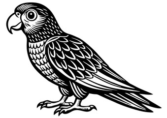 Fototapeta premium parrot vector illustrator black