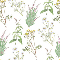 Watercolor seamless pattern of tansy,salvia,mint,chamomile .Hand-drawn clip-art on white background.Realistic images of Medicinal herbs for packaging, textiles, printing, holiday cards, wedding, menu