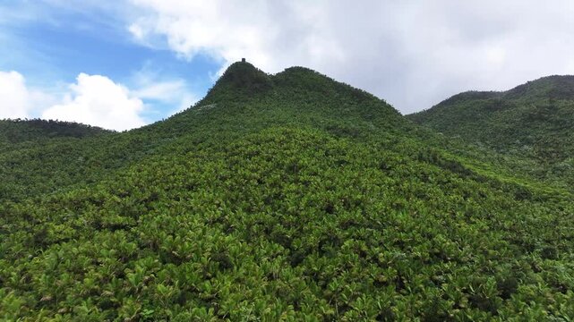 Aerial Drone Footage of El Yunque Rainforest, Puerto Rico