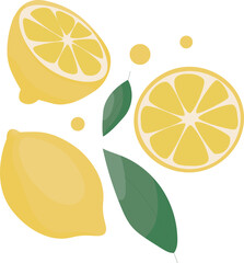 Simple yellow fresh lemon flat illustration. Lemon fruits on white isolated background. Lemon slices collection