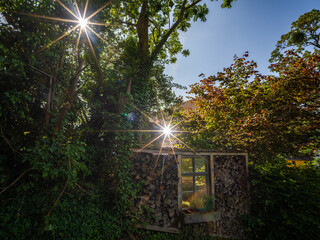 An idyllic scene with sunbeams reflecting and shining through green foliage and a rustic wooden building surrounded by plants and woodpiles
