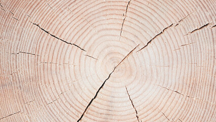 Obraz premium Large piece of wood with a hole in the middle. wood is split in half, with hole in the middle of the split. wood appears to be old