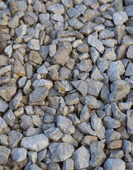 Scattered rocks form a natural background