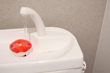 トイレの手洗い場に発生した赤カビ（赤色酵母）汚れ