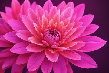 Abstract pink neon flower petals, glowing vibrant background, texture, floral, art
