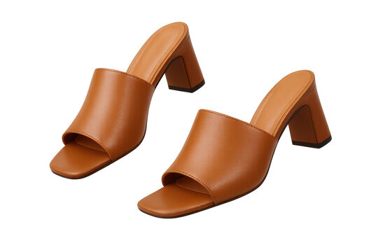 Brown leather block heel mules isolated on transparent background, women's fashion accessory