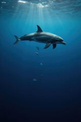 Fototapeta premium A black dolphin swimming calmly in deep blue ocean, sunlight filtering through the water, surrounded by small fish. The mood is peaceful and serene