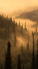Papier peint photo intissé A serene forest ridge cloaked in early morning fog with tall pine trees silhouetted against the gentle glow of the rising sun. The mist creates a tranquil and mysterious atmosphere, highlighting the n