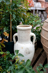 A rustic white ceramic urn standing among green plants in a garden setting.