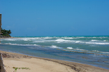 Tropical Wildlife Park with Animals