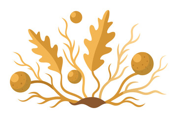 Floating Sargassum Seaweed Vector with Round Air Bladders