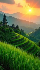 Golden Hour Sunlight Illuminates Lush Balinese Rice Paddies and Ancient Temples, Creating a Tranquil and Peaceful Scene Ideal for Travel and Tourism Promotions