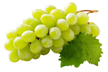 Bunch of green grapes on transparent background
