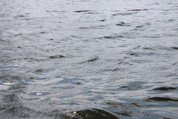 waves on the lake