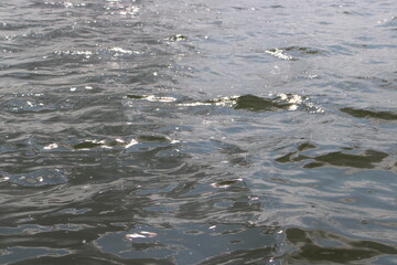 sun shining on the lake