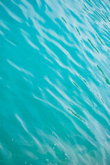 Tropical Wildlife Park with Animals 