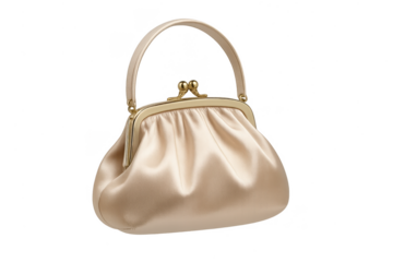 Elegant champagne clutch bag with gold clasp isolated on transparent background