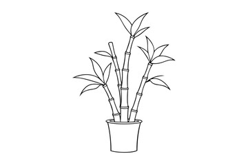 Stylish Lucky Bamboo Outline Illustration for Lunar New Year Graphics