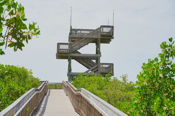 St. Petersburg, Forida, USA 06 29 2025: The landscape of Weedon Island Preserve Cultural and...