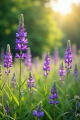 Obraz premium Gentle purple wildflowers sway in morning breeze, delicate blooms, wildflowers, morning light