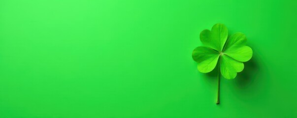 Minimalist design featuring a single four-leaf clover on bright green background, natural beauty, good luck charm