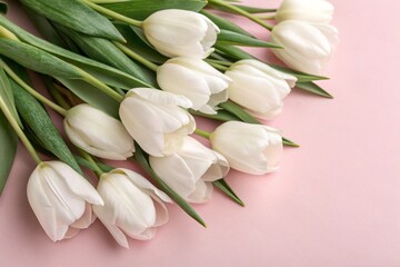 Bouquet of white delicate tulips on pink background, Top view