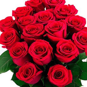 A classic symbol of romance: A lush bouquet of crimson roses, representing enduring love and affection, perfect for Valentines Day celebrations and expressing heartfelt emotions.