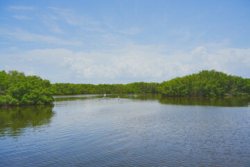 St. Petersburg, Forida, USA 06 29 2025: The landscape of Weedon Island Preserve Cultural and Natural History Center