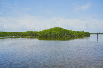 St. Petersburg, Forida, USA 06 29 2025: The landscape of Weedon Island Preserve Cultural and Natural History Center