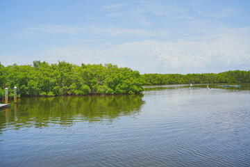 St. Petersburg, Forida, USA 06 29 2025: The landscape of Weedon Island Preserve Cultural and Natural History Center