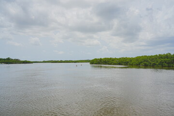 St. Petersburg, Forida, USA 06 29 2025: The landscape of Weedon Island Preserve Cultural and Natural History Center