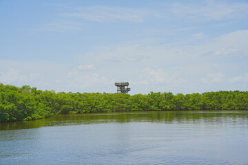 St. Petersburg, Forida, USA 06 29 2025: The landscape of Weedon Island Preserve Cultural and Natural History Center